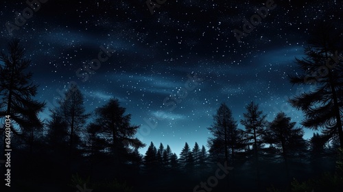 Star filled night forest landscape with pine trees and dark sky. silhouette concept