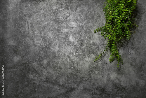 Grunge background green plant kitchen dinner for text