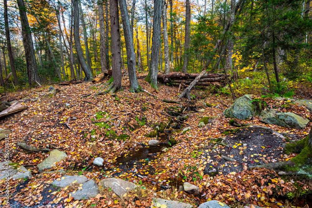 Autumn on Lake Minnewaska