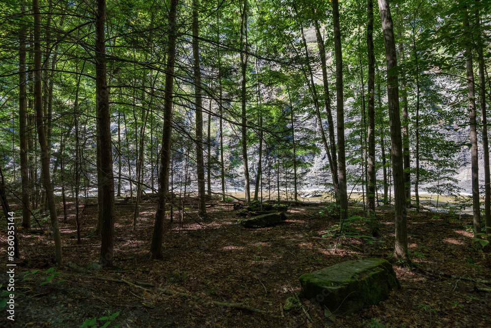 Obraz premium Taughannock Falls: Gorge Trail