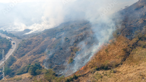 Aerial view of a forest fire out of control 