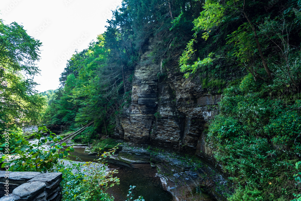 Robert H. Treman State Park: Gorge Trail Robert H. Treman State Park: Gorge Trail