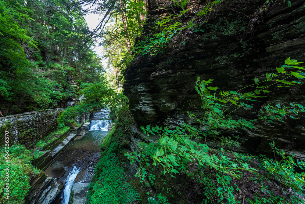 Robert H. Treman State Park: Gorge Trail Robert H. Treman State Park: Gorge Trail