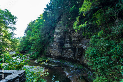 Robert H. Treman State Park: Gorge Trail