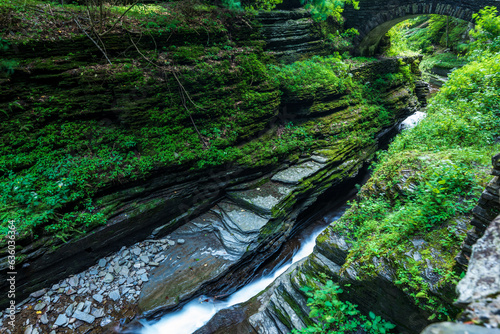 Robert H. Treman State Park: Gorge Trail photo