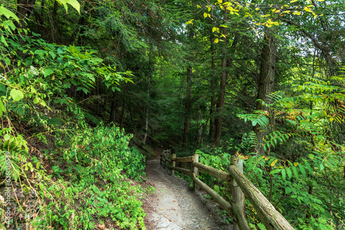 Robert H. Treman State Park  Gorge Trail