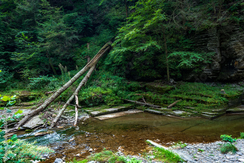 Robert H. Treman State Park: Gorge Trail photo