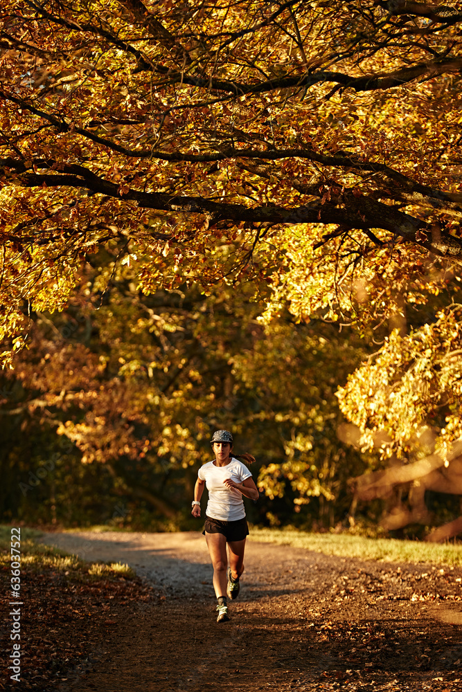 Female Runner in park during golden hour Female Runner in park during golden hour