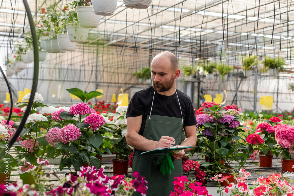 Farming inside greenhouse Farming inside greenhouse