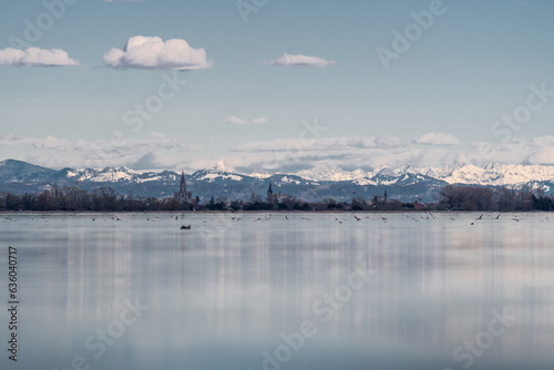 Blick Richtung Schweiz Alpsteingebierge von der Insel Reichenau über das Wasser am Horizont Konstanz photo