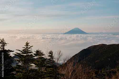 Volcanic terrain with Mt. Fuji