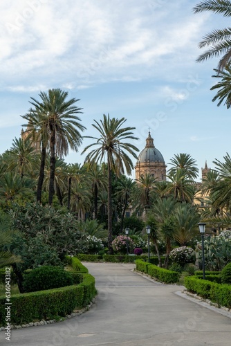a winding path between a lot of palm trees and some buildings