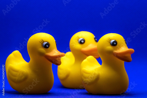 duck on white background