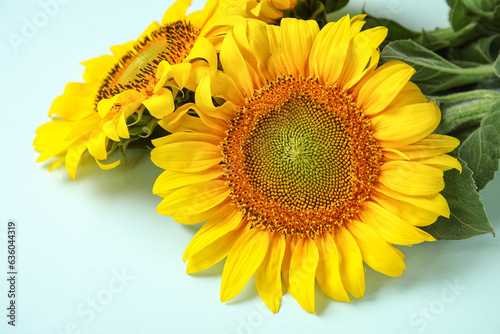 Beautiful sunflowers on blu...