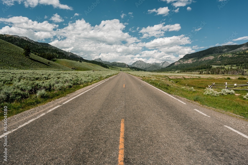 Scenic landscape of a road in Yellowstone National Park in Wyoming.