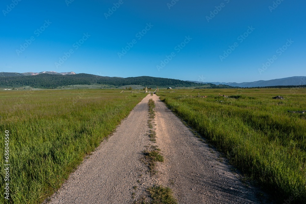 Open prairie in West Yellowstone, Montana, with green grass and mountains in the background.