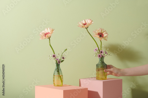 Gerbera flowers in glass vases isolated on green matcha background photo