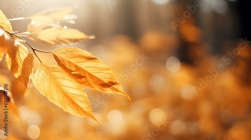 Beautiful blurred autumn background with yellow-gold leaves in the rays of sunlight on a dark natural background. generative AI