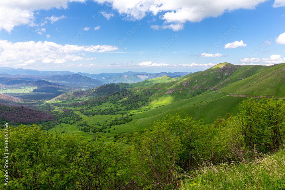 Landscape of Trialeti (Caucasus) mountain range seen from M-20 road to Tskhratskaro Pass, lush green mountains and grasslands, Bakuriani ski resort in summer, Georgia.