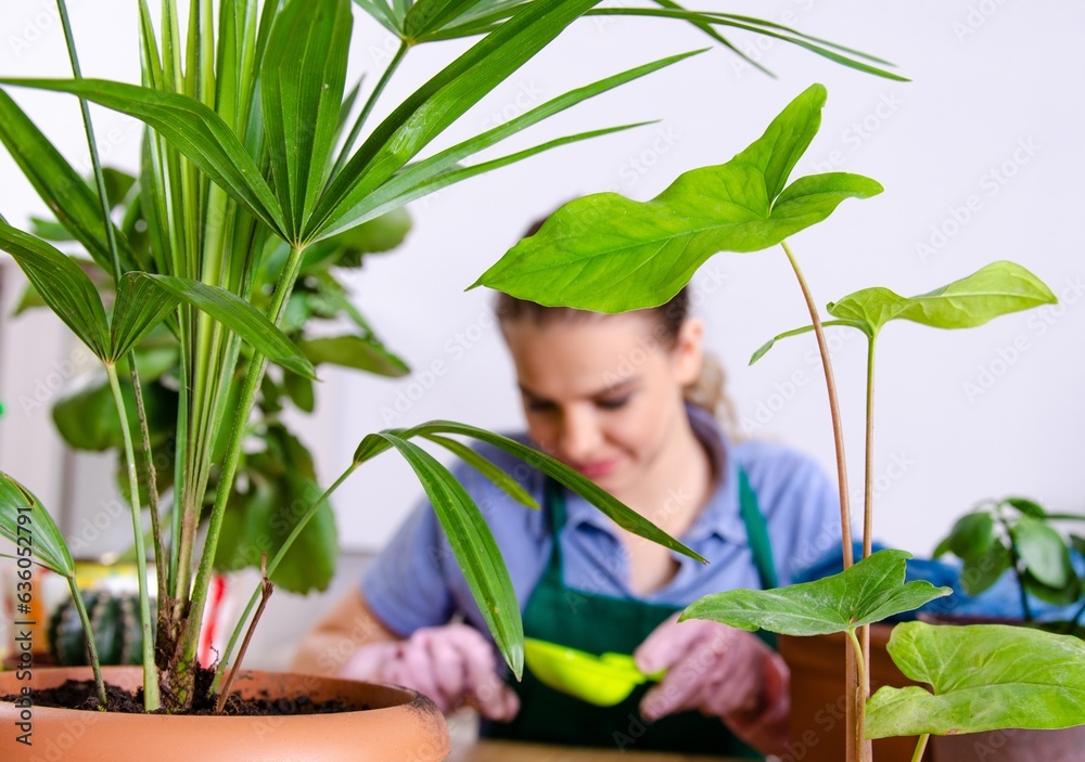 Young female gardener with plants indoors Young female gardener with plants indoors