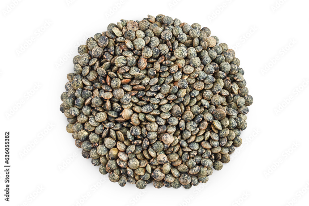 raw french green lentils isolated on white background with full depth of field raw french green lentils isolated on white background with full depth of field