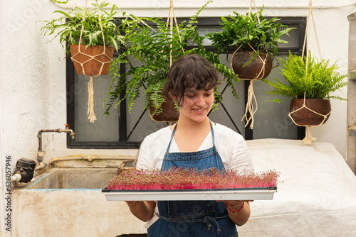 woman smiling and looking at a tray with amaranth microgreens photo