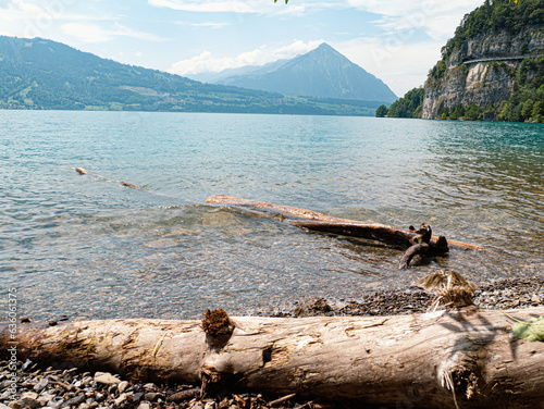 Montainlake Thunersee in switzerland Berner Oberland with blue water and niesen in the back