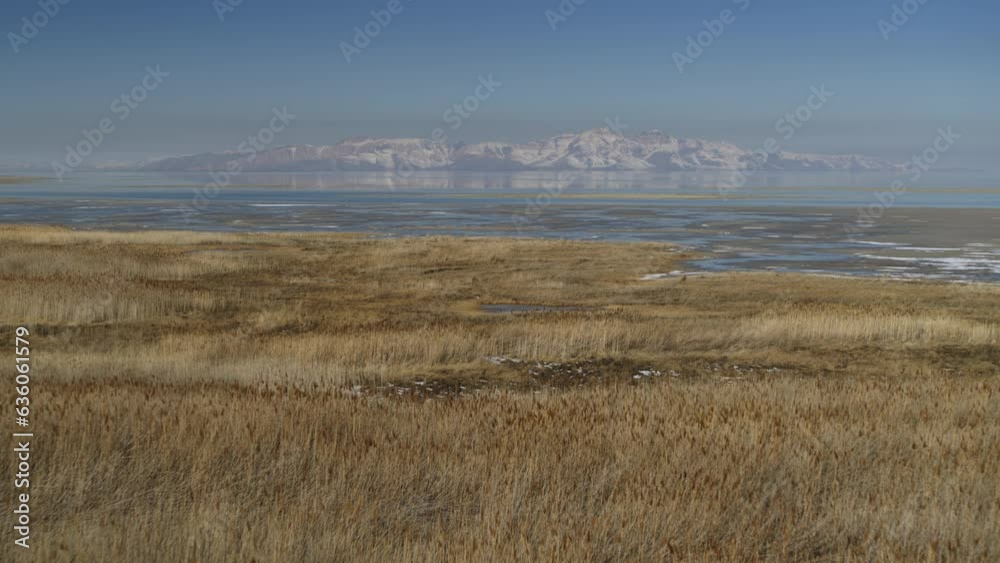 Aerial flyover view of grass near receding Great Salt Lake / Magna, Utah, United States Aerial flyover view of grass near receding Great Salt Lake / Magna, Utah, United States