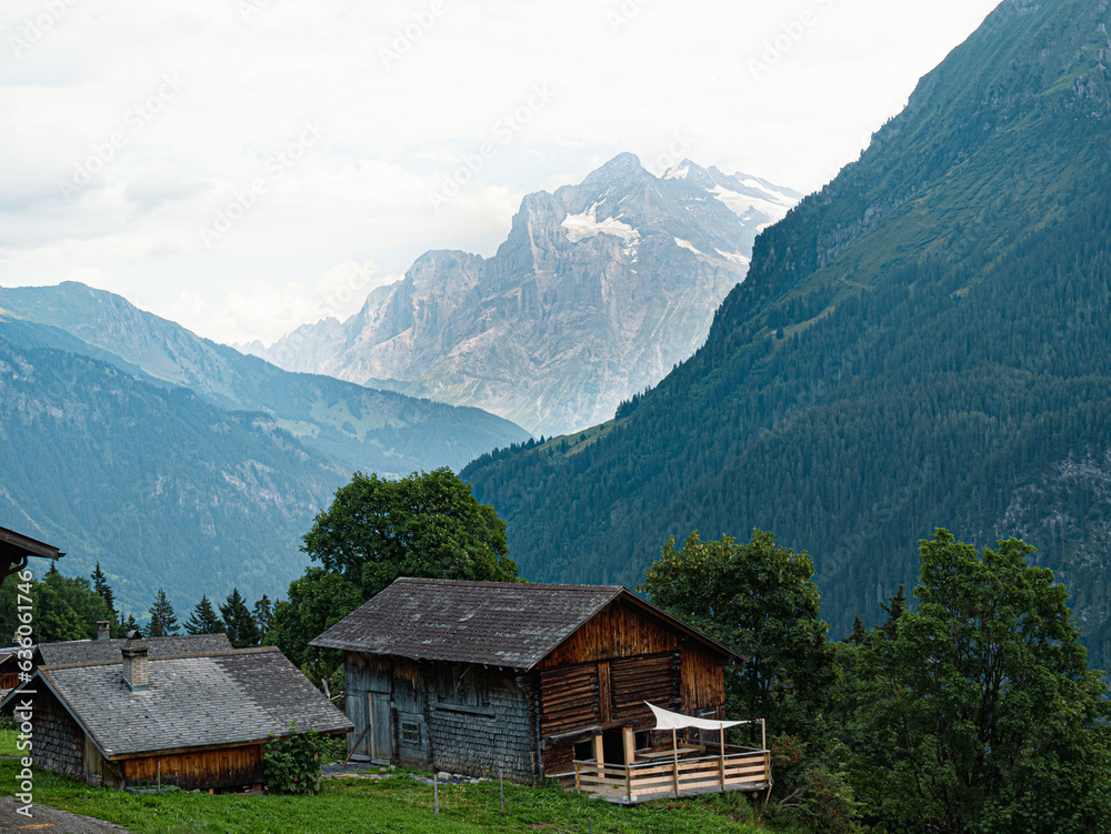 Alpine wood cabin village with Big mountain in the back in the swiss Alps at Jungfrauregion Berner Oberland