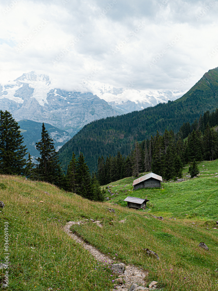 Hikingtrail with view at Jungfrauregion and wooden cabins in Switzerland Berner Oberland The North Face Hikingtrail with view at Jungfrauregion and wooden cabins in Switzerland Berner Oberland The North Face