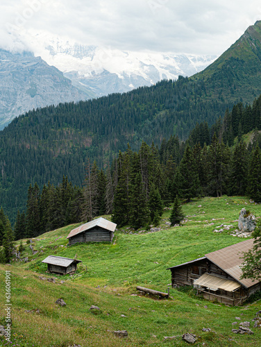 Alpine Village in switzerland with view at Jungfrau region Top of Europe