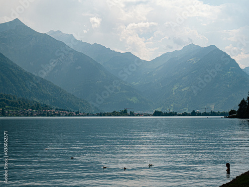 Girl in Mountain lake watching ducks floating by in Berner Oberland Switzerland at Brienzersee