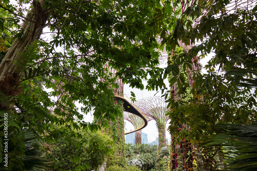 Singapore Supertree Grove Framed By Tropical Plants