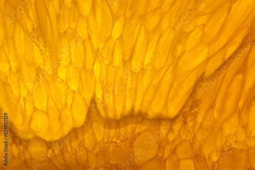 Closeup macro orange slice abstract textures patterns colors