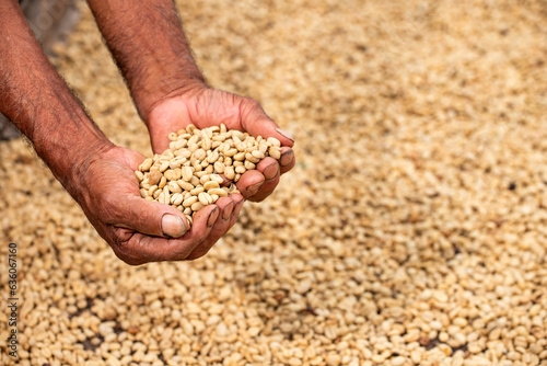 Roasted coffee beans in the hands of Colombian coffee farmer