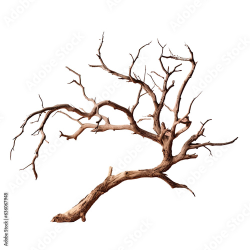 Dead tree branch isolated on transparent background