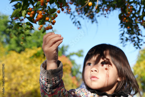 Child picking fruit of plant photo