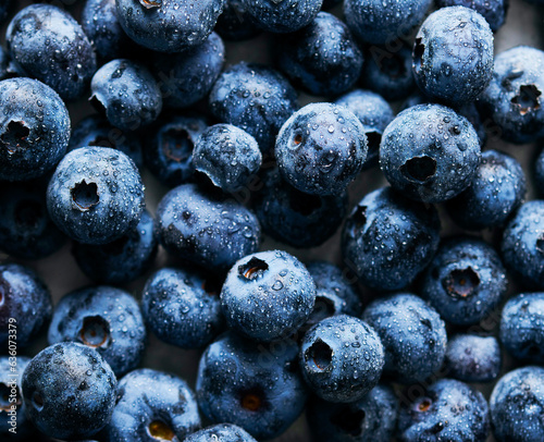 Fresh Blueberry  photo