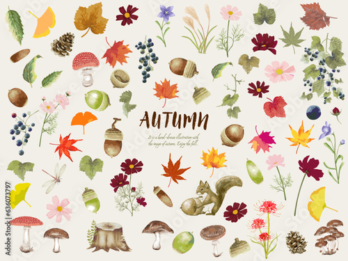 秋の植物素材コレクション（水彩画）