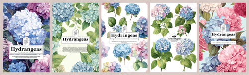 Set of Elegant Hydrangeas, Realistic Vector Illustrations of Flowers, Leaves, and Plants for Backgrounds, Patterns, and Wedding Invitations.