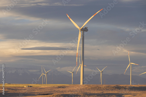 Wind farm at dusk photo