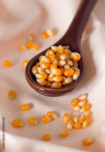 Popcorn Seeds  photo