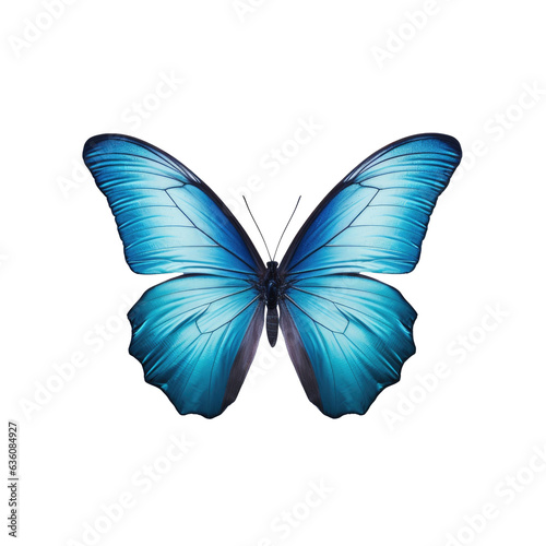 transparent background with solitary blue butterfly © AkuAku
