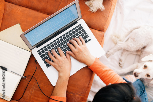 Freelance at home working remotely. photo