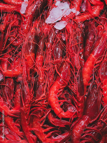 Fresh raw shrimps Carabineros 