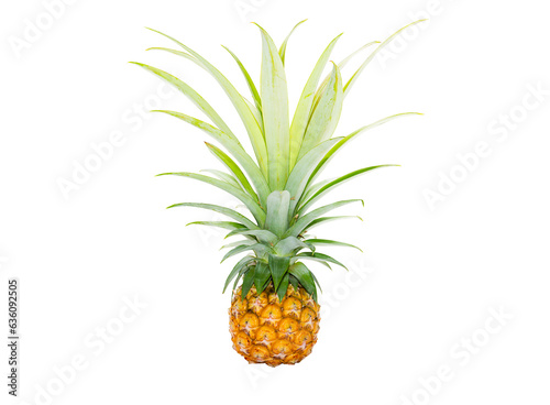 Pineapple isolated on white background