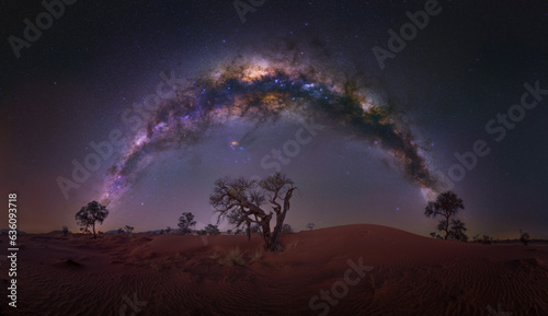 Milky Way with a lonely African tree, Namibia, Africa.