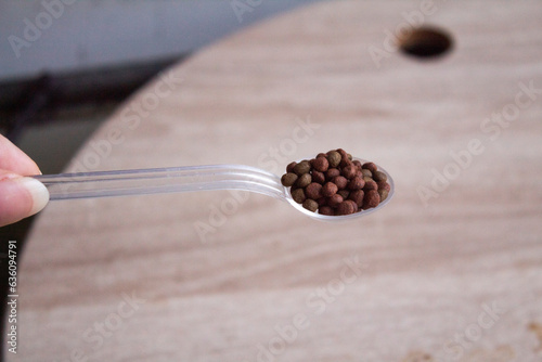 Spoon with carnivorous fish food