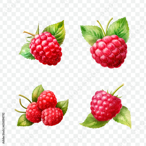 Raspberry watercolor graphic transparent isolated 