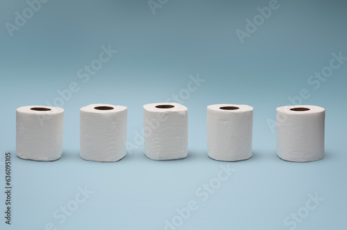 Toilet paper rolls